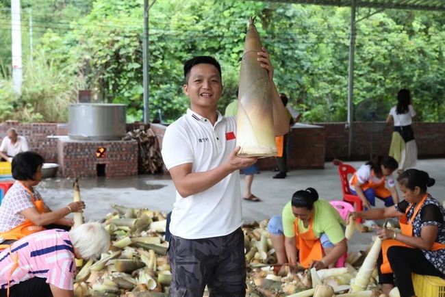 竹海深处的电子商务 电商赋能带动乡村振兴