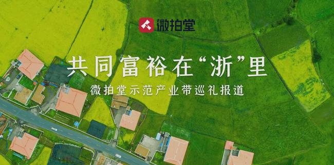 再获殊荣!微拍堂被评为“年度最佳互联网品牌”