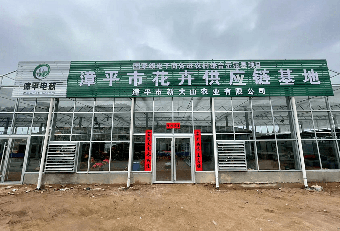 花木为媒兴产业 电商赋能助振兴——漳平市农村电商典型做法