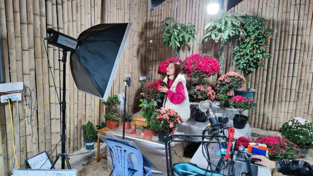 花木为媒兴产业 电商赋能助振兴——漳平市农村电商典型做法