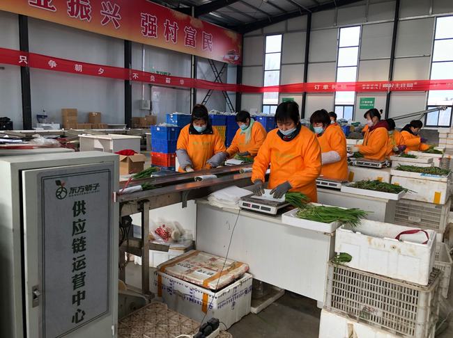 从地头到餐桌，农产品直采直销网络助力现代农业