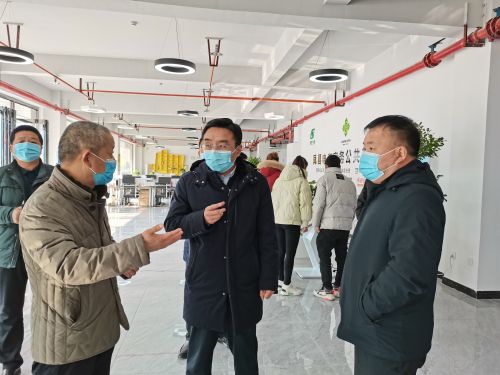 凤县委书记调研凤县电子商务工作