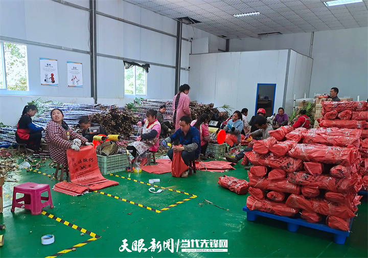 黔西南安龙:“电商+特色产业” 为农特产品插上腾飞的翅膀
