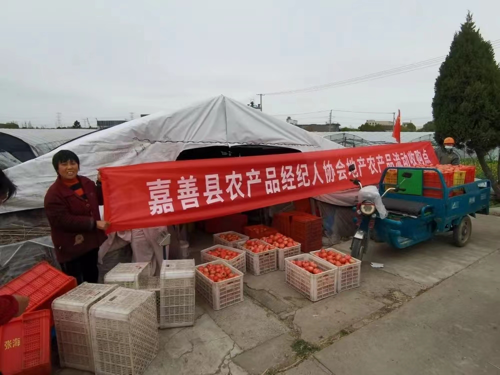 相信“协会力量”—嘉善国家电子商务进农村综合示范项目建设中协会模式经验