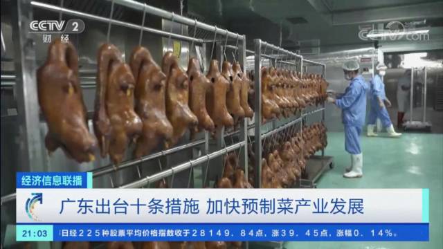 广东预制鹅上了央视，出了海，对河南固始预制鹅块的借鉴意义/河南郑州预制菜产业展