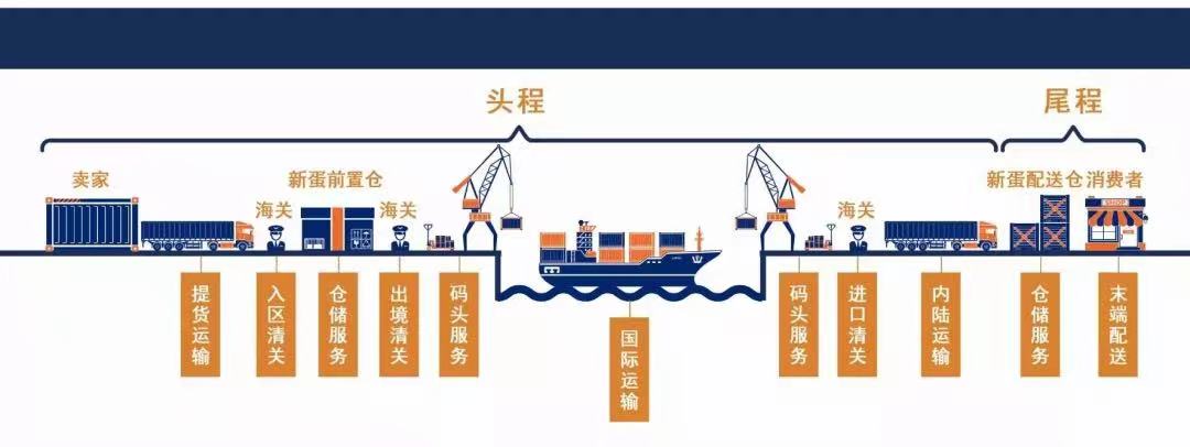 新蛋冲在复工复产第一线，上海洋山率先按下跨境电商出口快进键