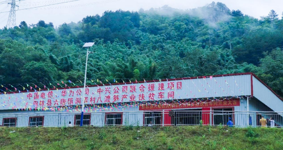 小产品大产业，嘻螺会如何助力打造柳州螺蛳粉金字招牌？