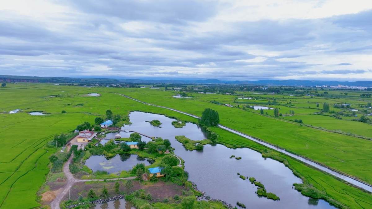 东方甄选黑龙江行专场直播正式开启，首站为牡丹江“实地代言”
