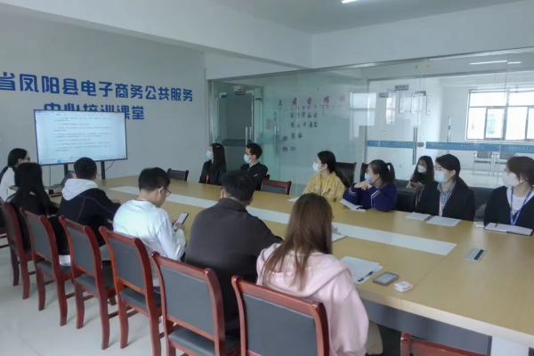 凤阳临淮关镇：党建引领聚合力 电商发展谱新篇