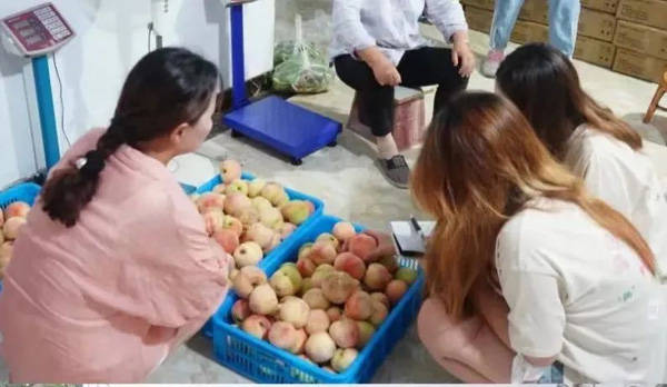 青春力量助力乡村振兴！00后“带货主播”为大团蜜露桃代言