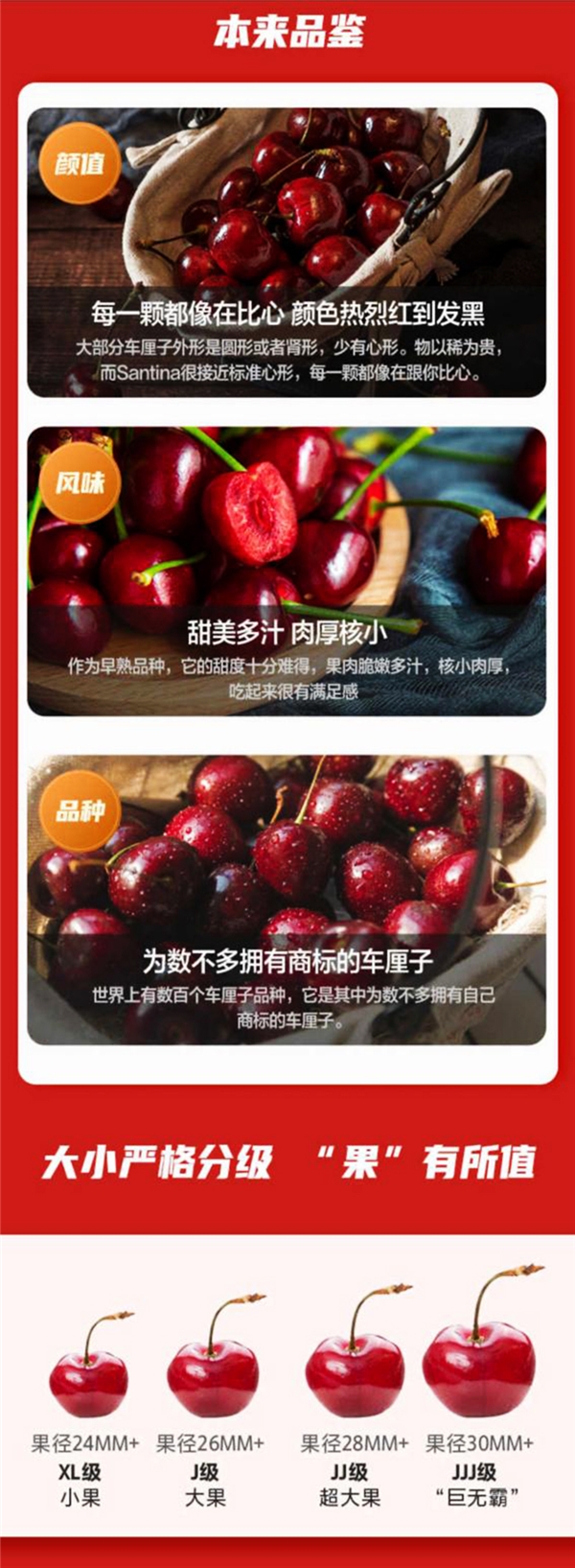 本来生活网海运车厘子甜蜜预售中，水果买手奉上本季最全品鉴情报