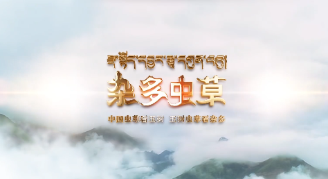 “杂多虫草”品牌创建纪实