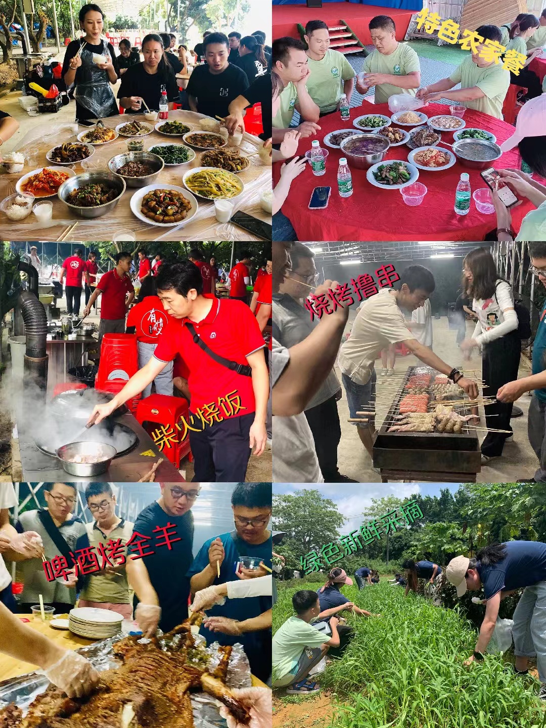 惠州年会、团建好去处人均低还能包吃包玩丨果盛生态园