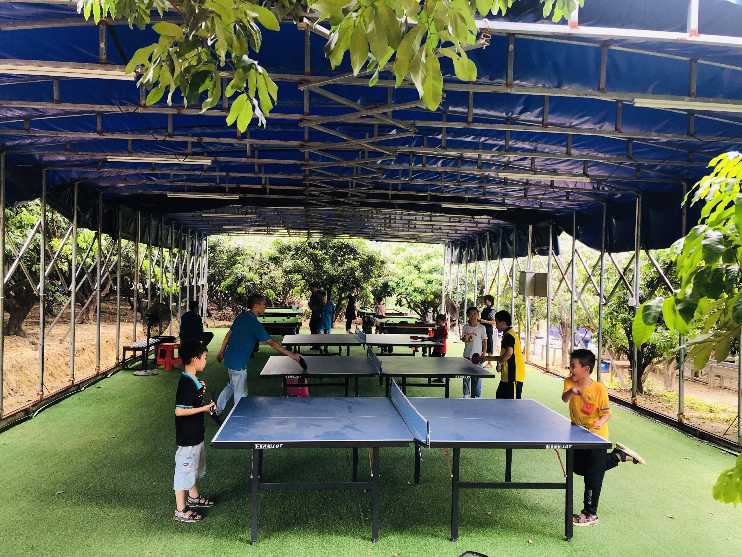 原来惠州有这么个好玩的地方，非常适合春游哦