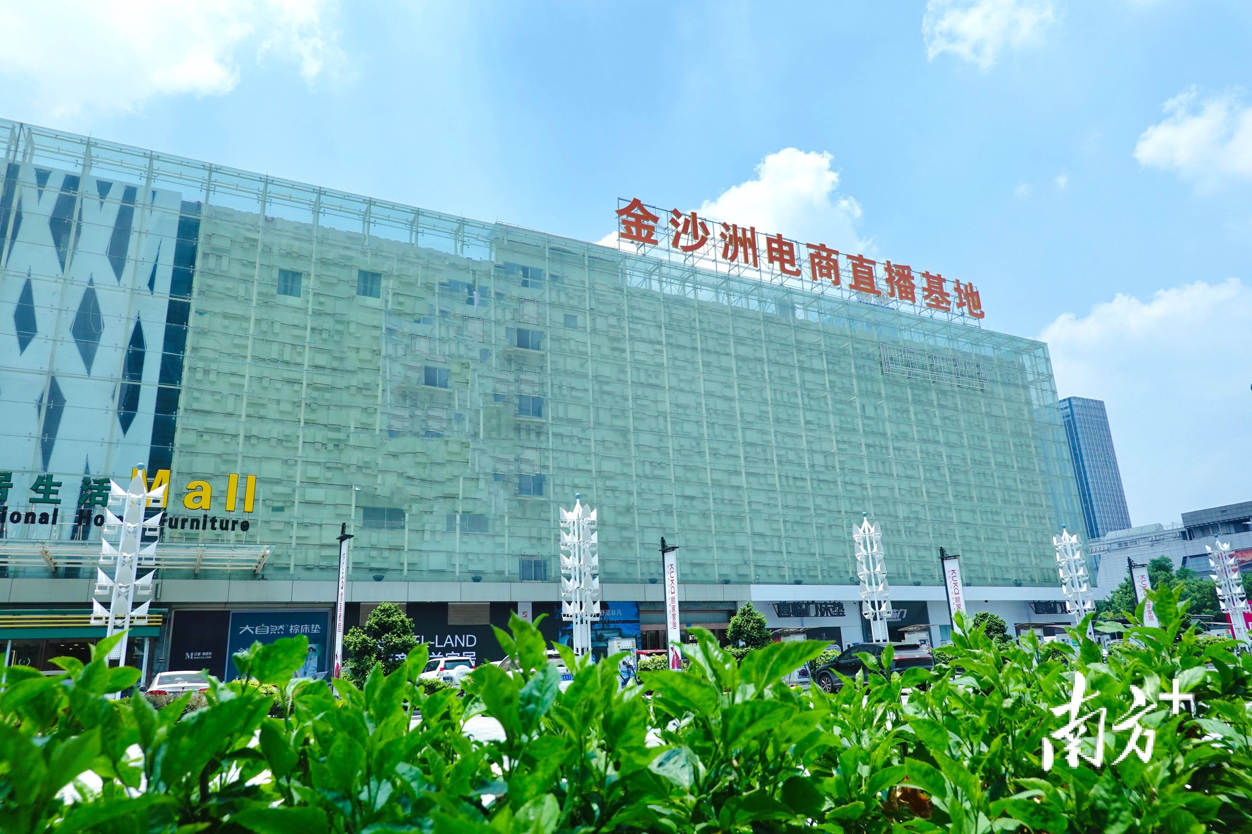 广佛同城“3.0时代”，金沙洲打出直播电商产业新名片