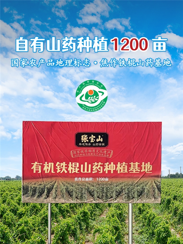 全球山药食品首个世界食品品质大会金奖花落张宝山