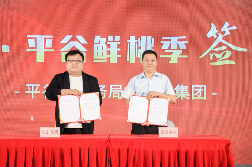 2023平谷鲜桃季拉开帷幕 京东“水果日”纽扣蟠桃、黄油桃、早凤王白桃热销