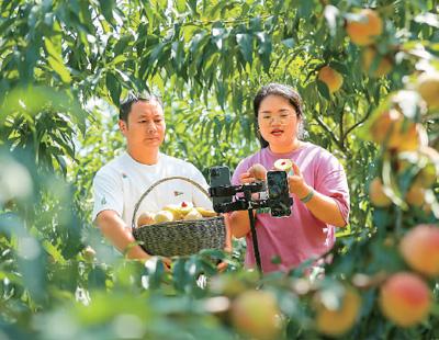 总数已达170余个！国家电商示范基地这样打造