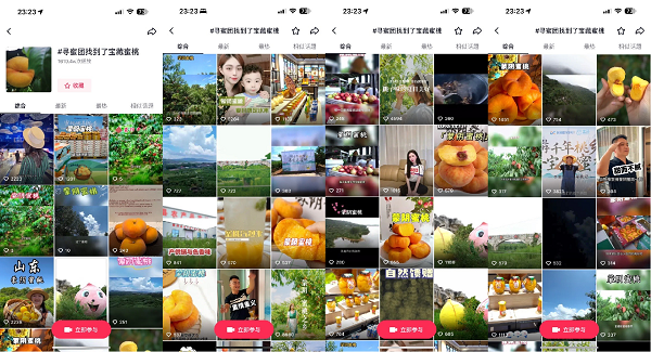 宝藏蜜桃“出逃”记:数字助力蒙阴蜜桃走向全国
