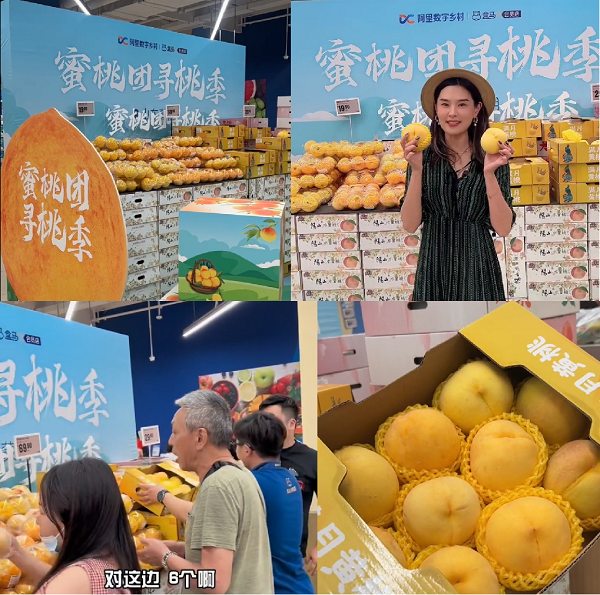 宝藏蜜桃“出逃”记:数字助力蒙阴蜜桃走向全国