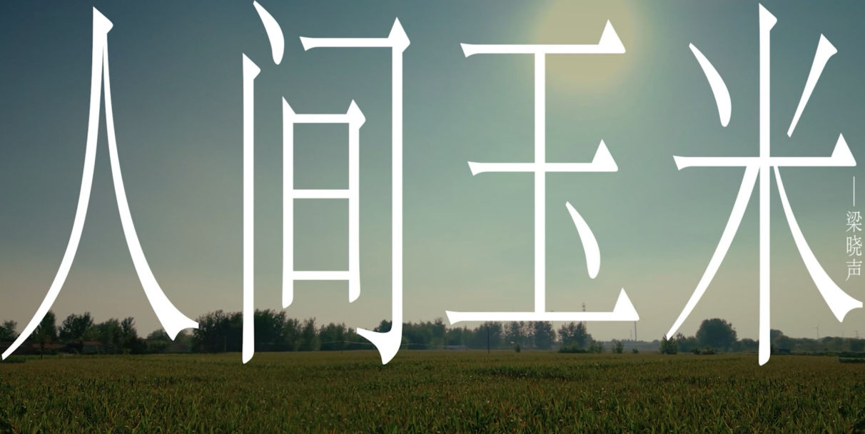 十年助农脱贫奔富 京东发布《好特产，写给更多人看到》为优质农特产发声