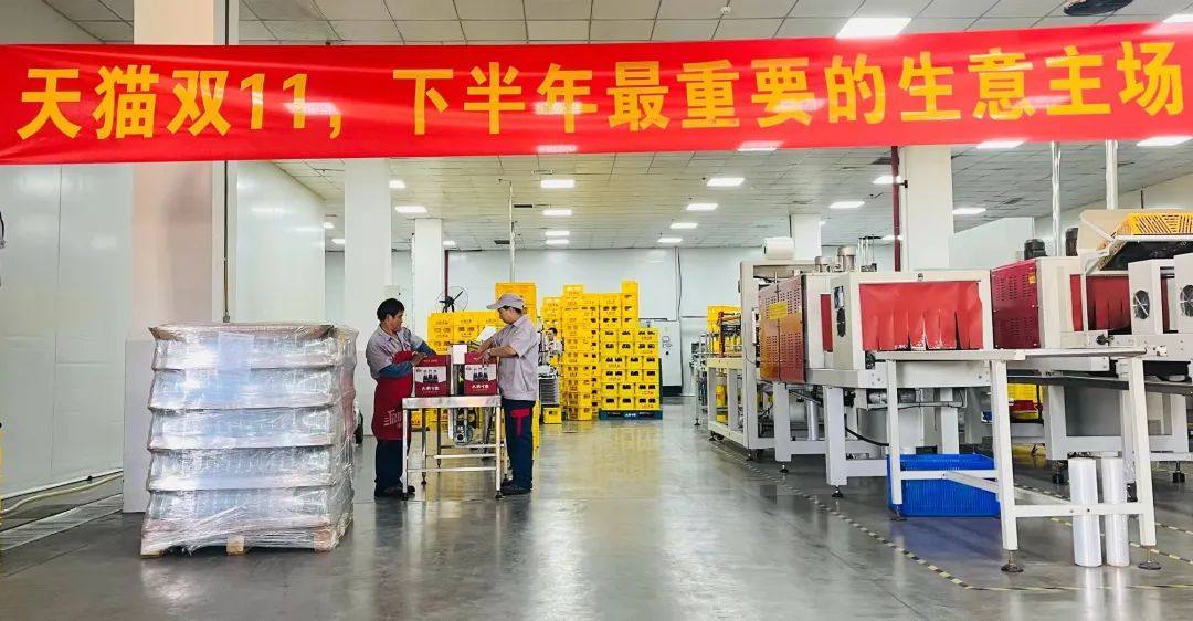 2023天猫双11，国货品牌下半年最重要的生意主场