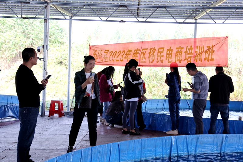新田县：电商直播带货培训 助力“移民”线上创业