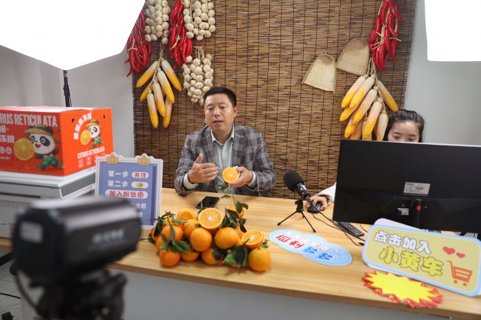 丹棱：又到桔橙成熟季 电商助力融合发展