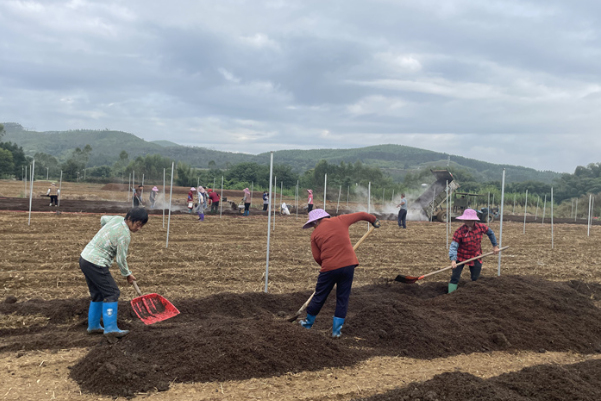 英德市青塘镇青北村:党建引领电商助力 探索高质量发展路