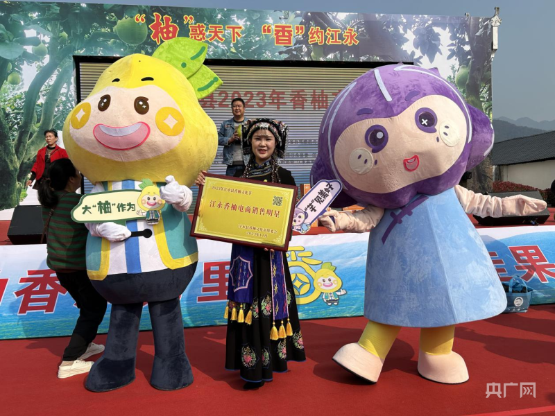 湖南江永县：赋能数字乡村 打造“人+货+链”电商新模式