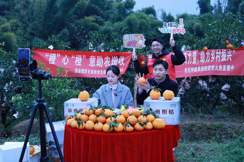 电商快车让这里的特产“飞”往千家万户
