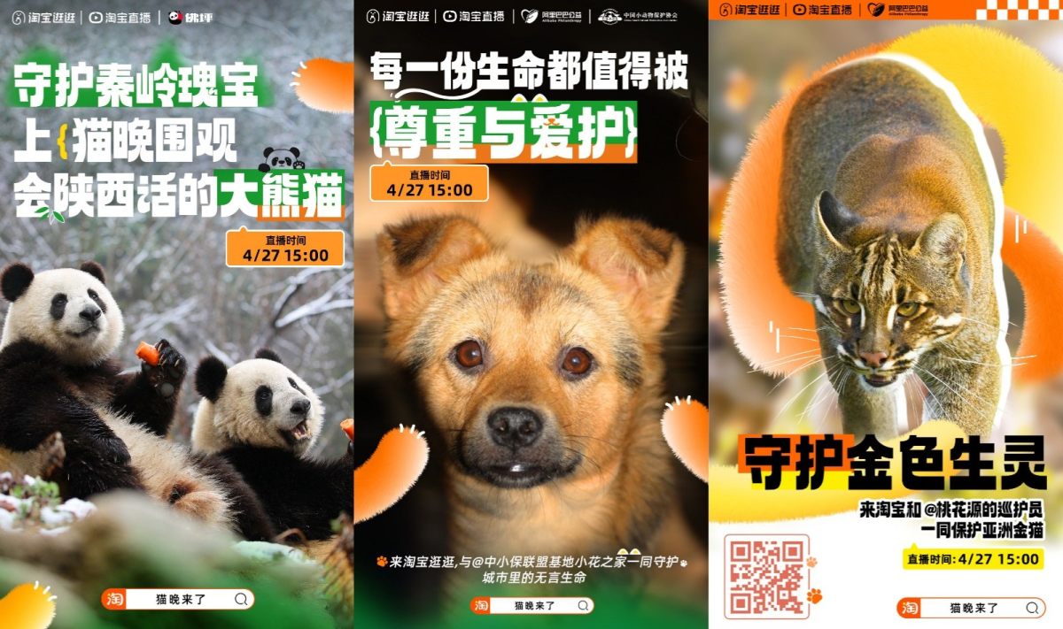 又有“顶流”入驻淘宝逛逛，这次来的是101只萌宠