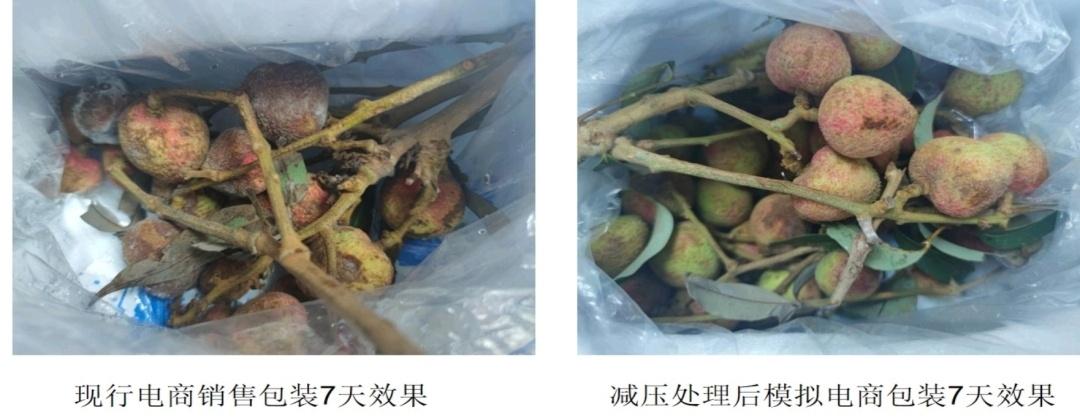 新垌镇电商园荔枝销售十分火爆!高州市“第一书记合作室”全“荔”帮扶