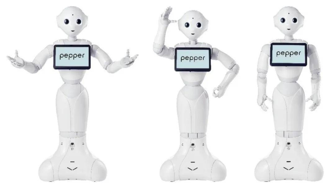 科幻成真，未来已来！软银、钛虎、前元、氦豚亮相“2024上海智能机器人展会”