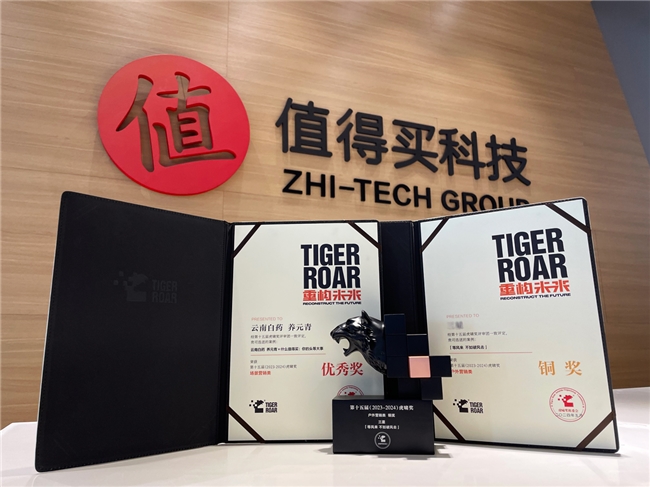 定制服务、自主IP双双闪耀，什么值得买斩获第15届虎啸奖两项大奖