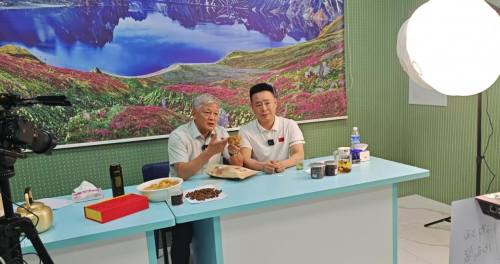 吉林市:电商节助力乡村振兴,数字经济拓宽致富路