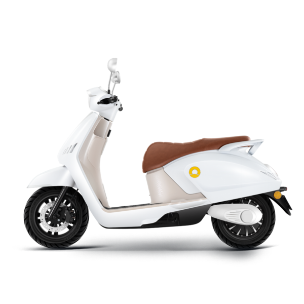 双料大奖，权威认证！新日斩获2024年度新品推介“运动车型奖”&“十佳车型奖”