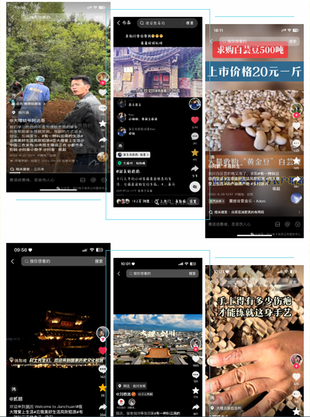 图片14.jpg