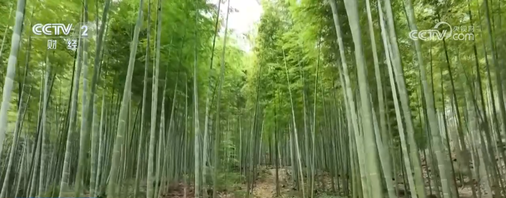 冬来第一鲜、冬捕第一网 “特色养殖+电商”扩宽乡村致富路