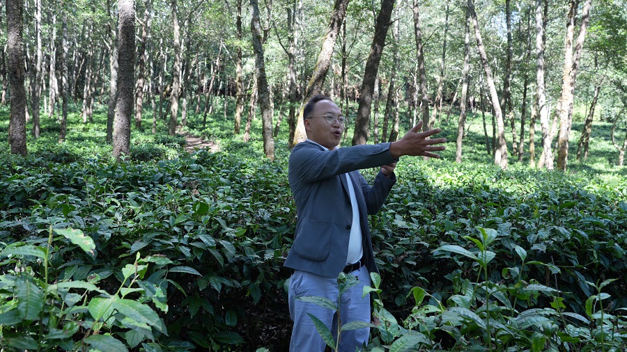 云南龙陵:边境村干部化身“电商达人”助农增收