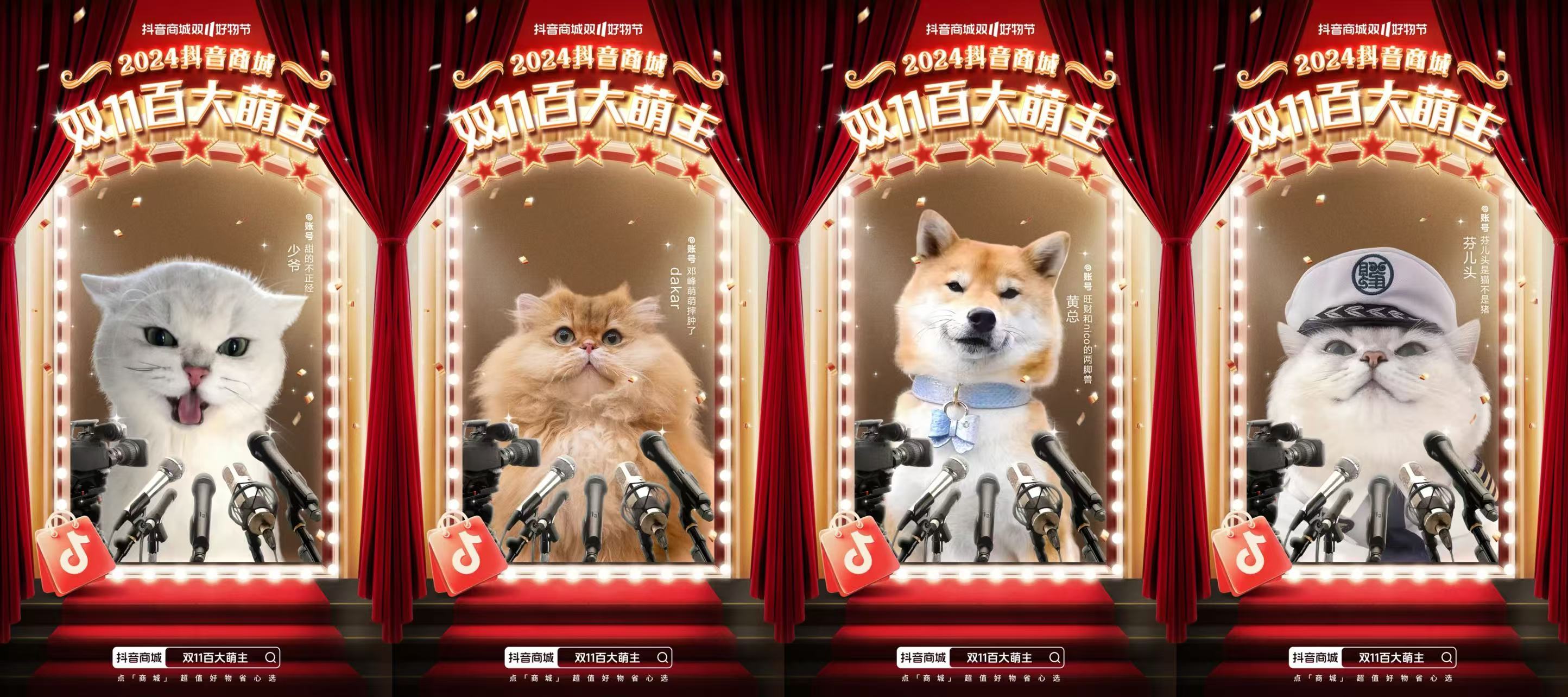 这个双11,乘上抖音的风