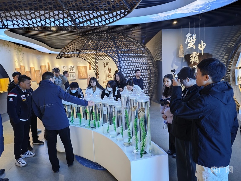 【人民城市•温情中国】江苏宿迁：全员“上链接”！千年古城玩转电商style