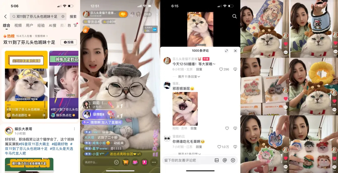 双11宠物经济爆发，商家做对了啥？