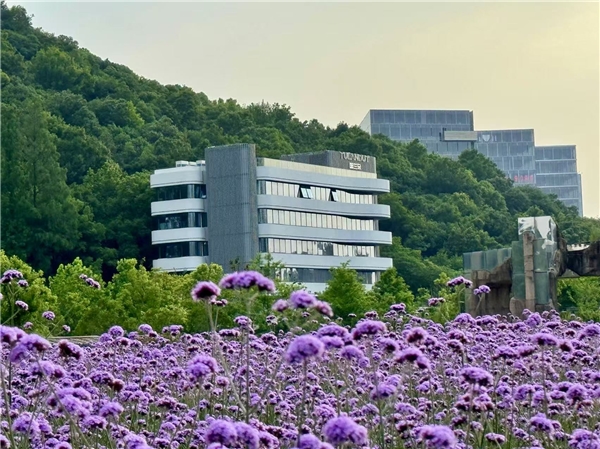 跨境电商下半场,东南亚依旧遍地黄金