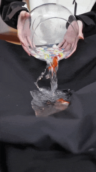 年轻一代消费者登场，品牌涌向「有风的地方」