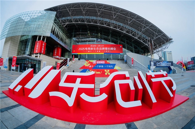 困局与破局：全域共振，2025年的电商新增长方向！