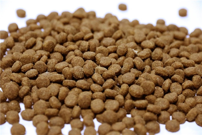 新春囤好粮 派派猫粮以国际标准服务中国萌宠