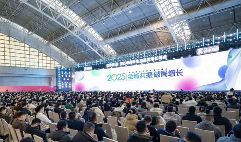 困局与破局：全域共振，2025年的电商新增长方向！