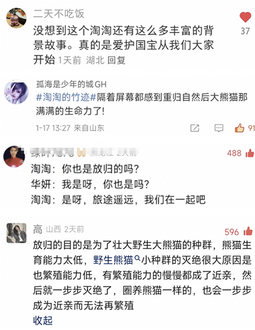 当国宝遇上非遗：爱上淘宝的熊猫公益，网友表示根本停不下来！