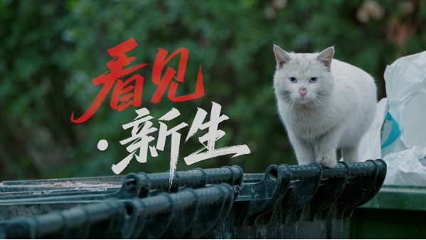 「看见·新生」，用爱与科技点亮毛孩子的未来